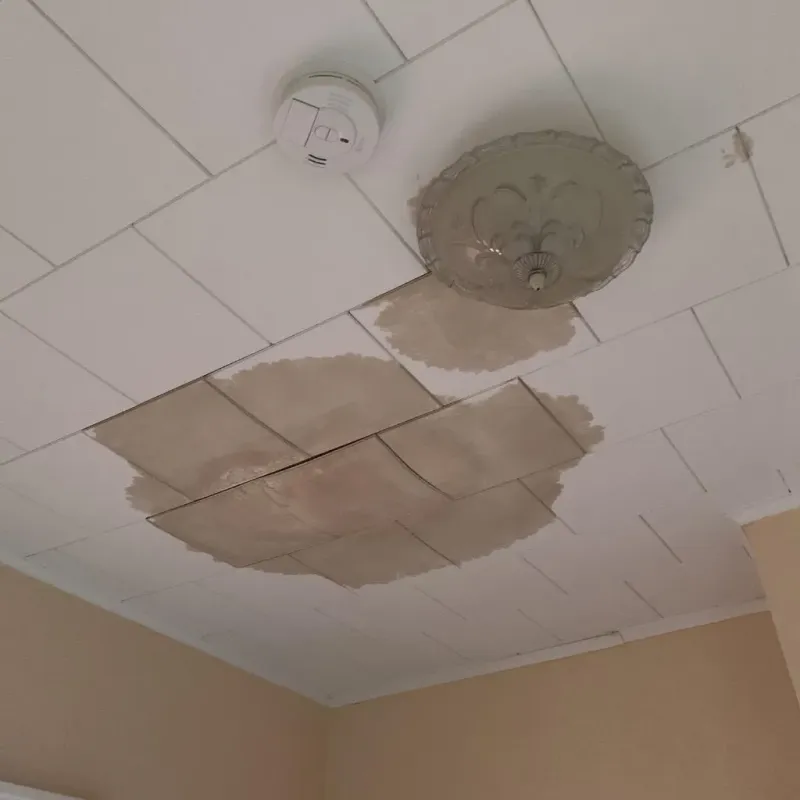 Ceiling Water Damage Repair in Lily Lake, IL