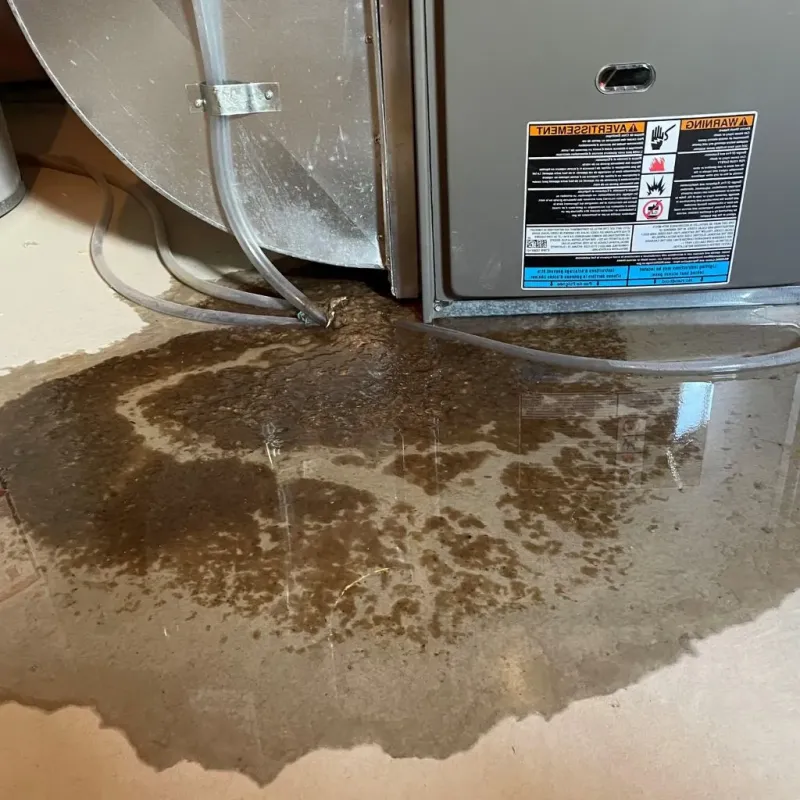 Pipe Burst and Leak Restoration in Lily Lake, IL
