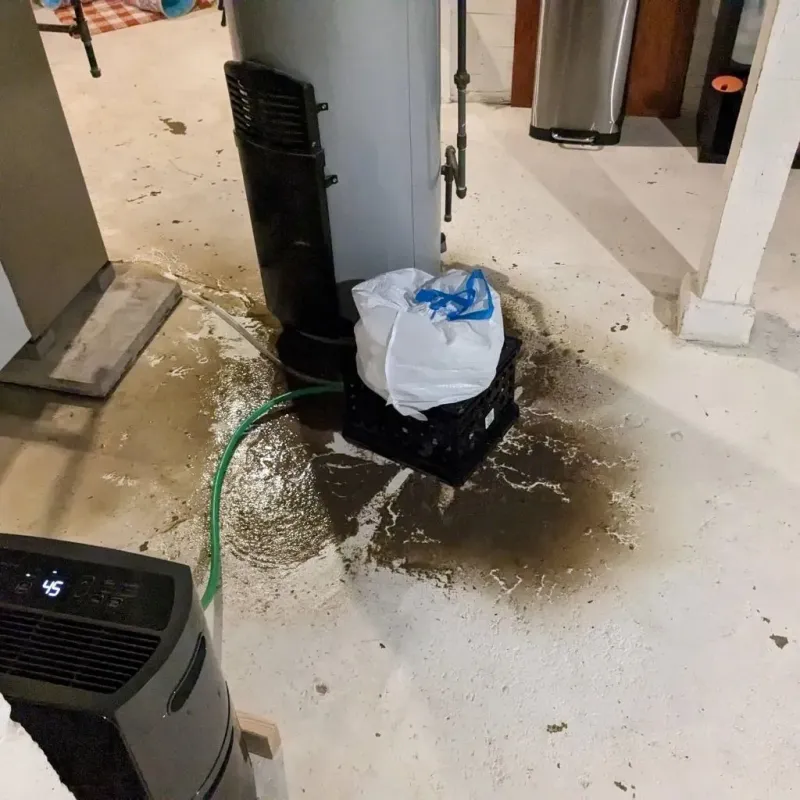 Sewage Backup Cleanup Service in Lily Lake, IL
